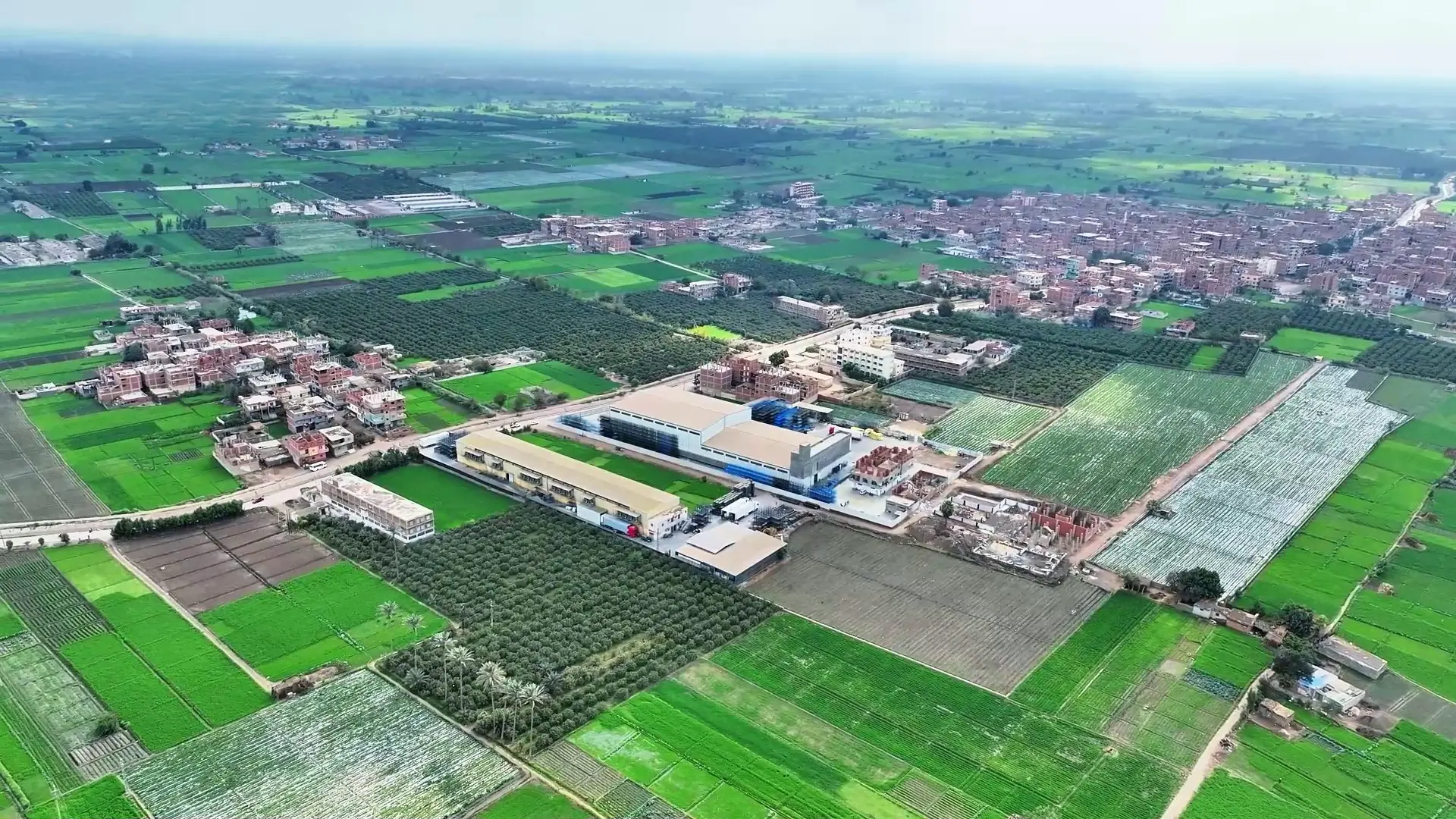 Al-Saad facility in Al Deir, Qalyubia