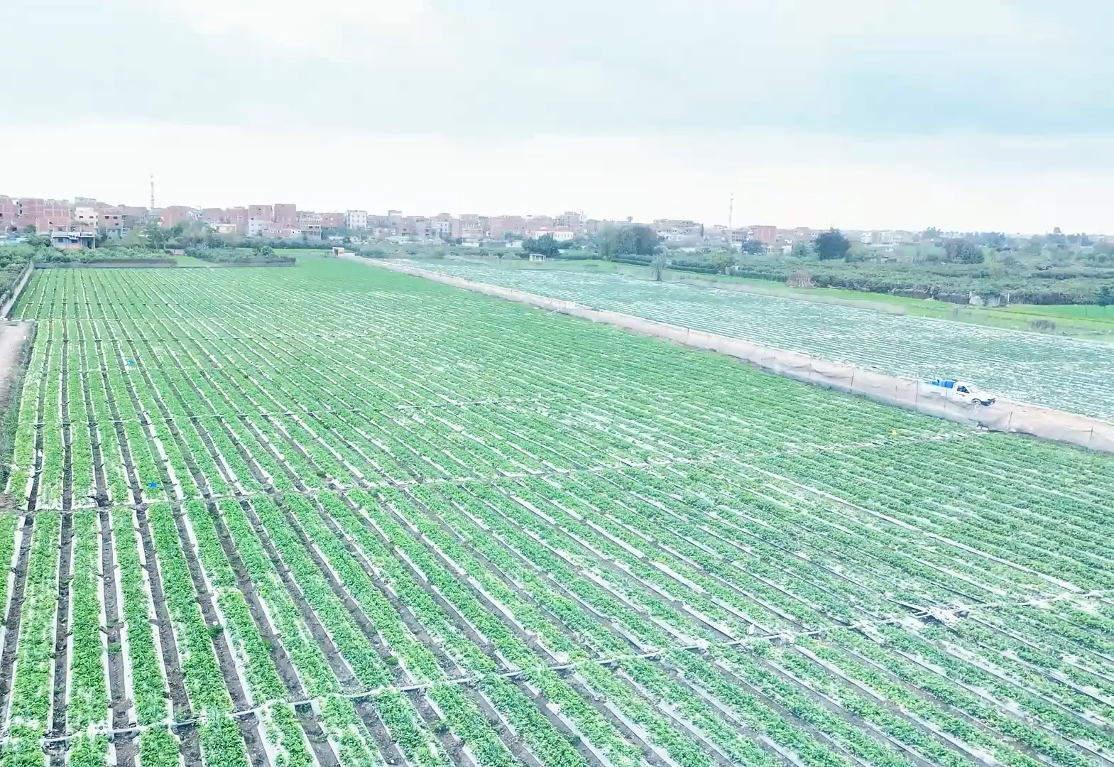 Solar panels and sustainable farming