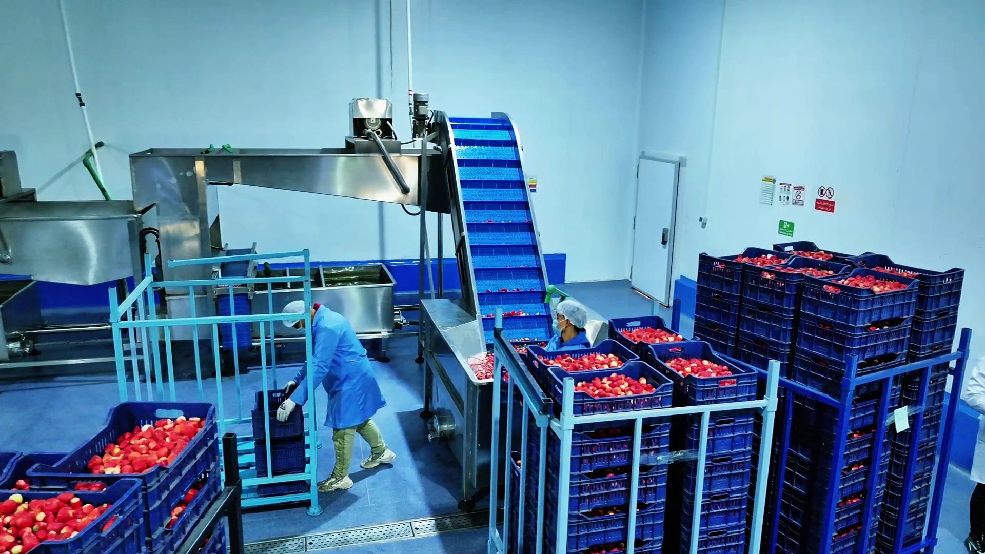 Al-Saad Fruit Processing